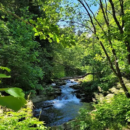 Slope House Holiday home Lipowa