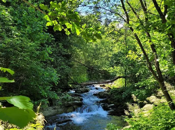 Slope House Vakantiehuis Lipowa